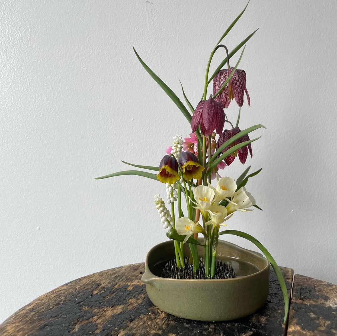 Floral Frog – Upstate MN