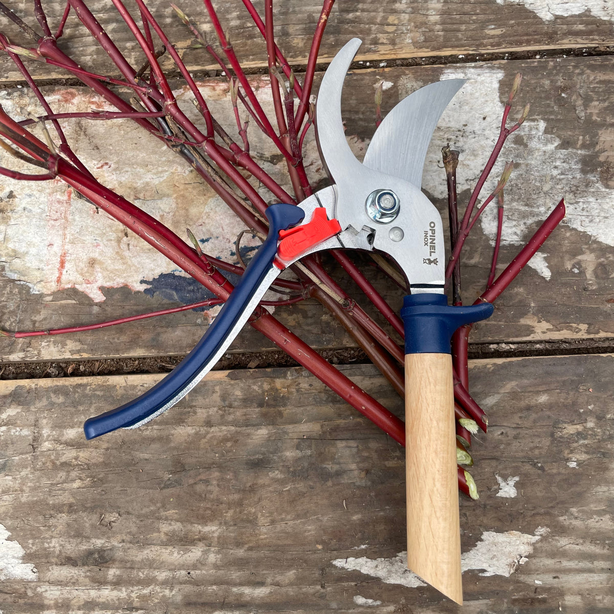 Garden shears wooden handle
