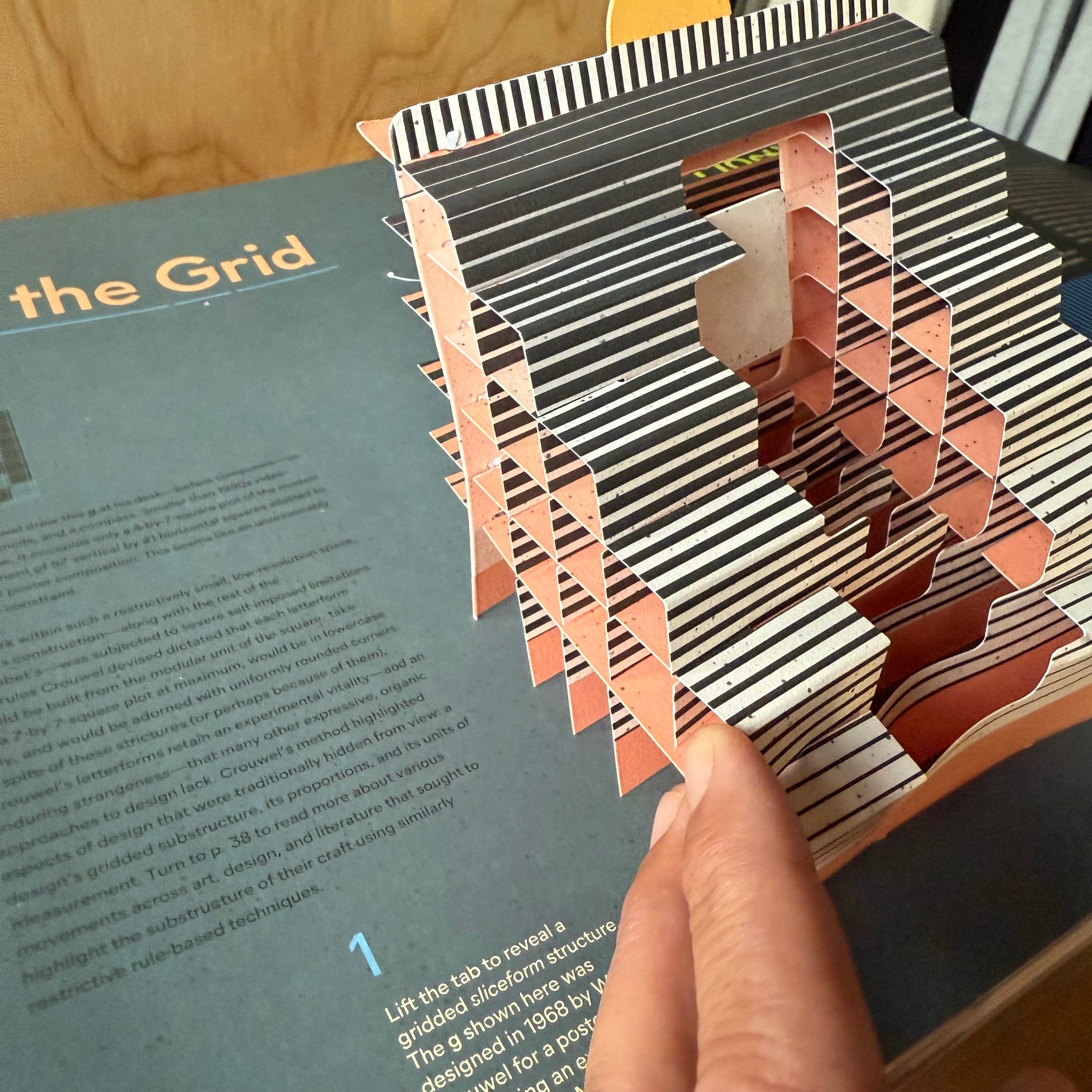 Alphabet in Motion - How Letters Get Their Shape