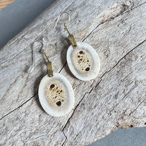 Antler Slice and Brass Drop Earrings By Eric Silva
