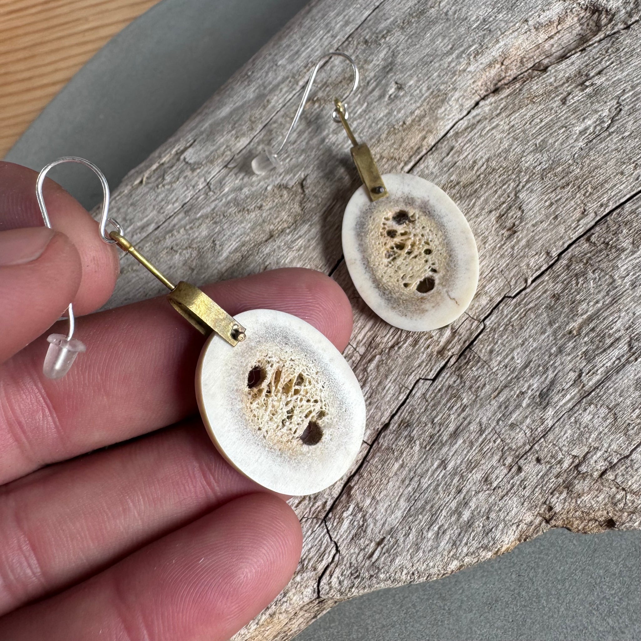 Antler Slice and Brass Drop Earrings By Eric Silva
