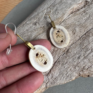 Antler Slice and Brass Drop Earrings By Eric Silva