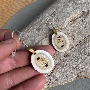 Antler Slice and Brass Drop Earrings By Eric Silva