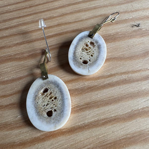Antler Slice and Brass Drop Earrings By Eric Silva
