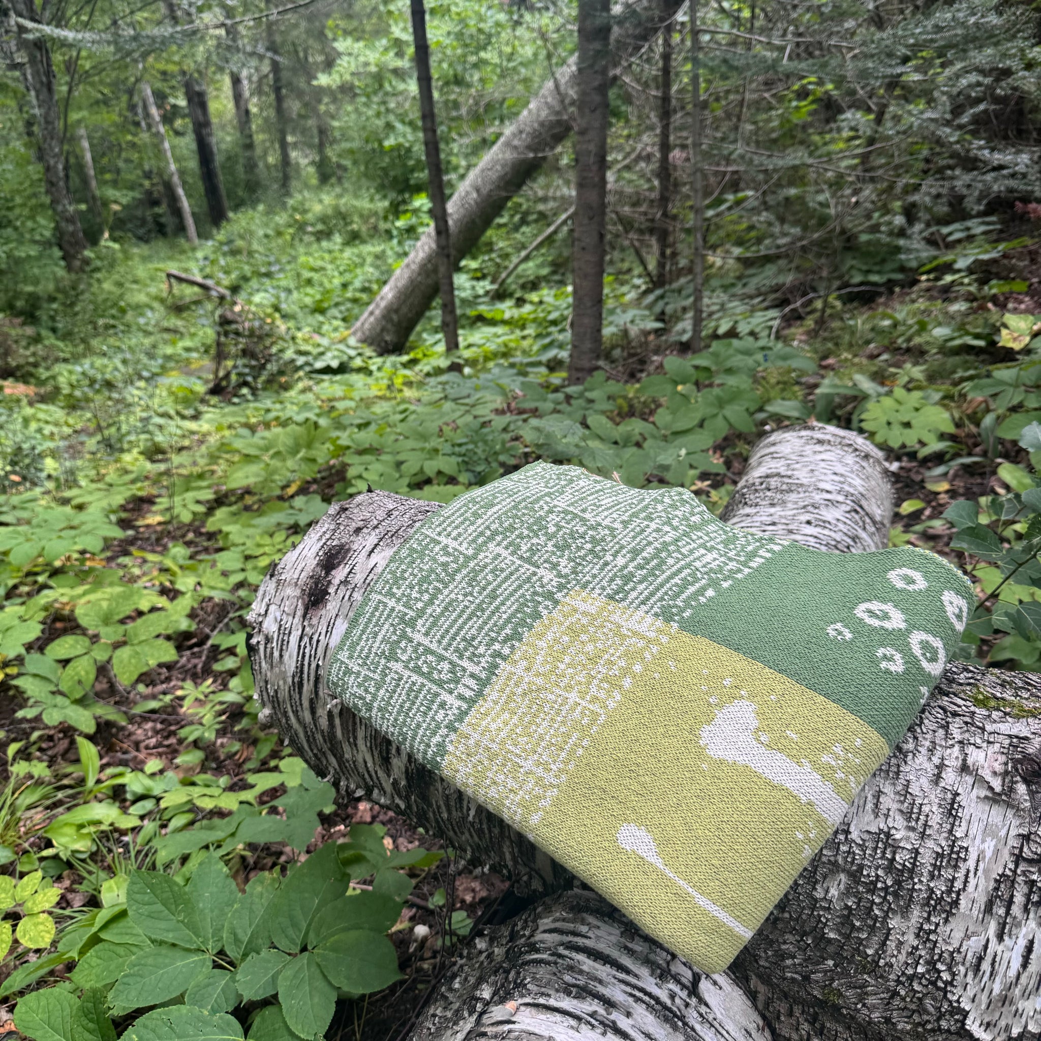 Cosmos Blanket in Green by My Friend Suzy Pilgrim Waters
