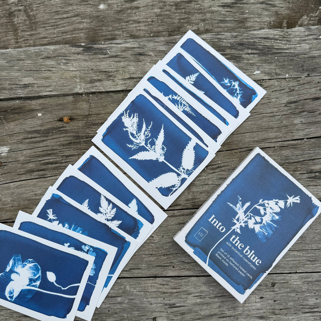 Cyanotype Greeting Cards by Botanopia