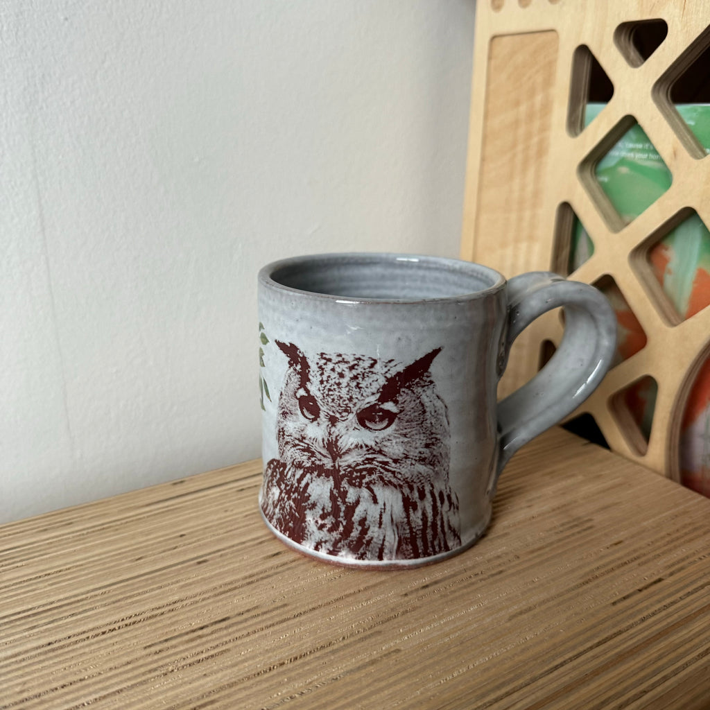 Decaled Mug with Owl 7 by Justin Rothshank