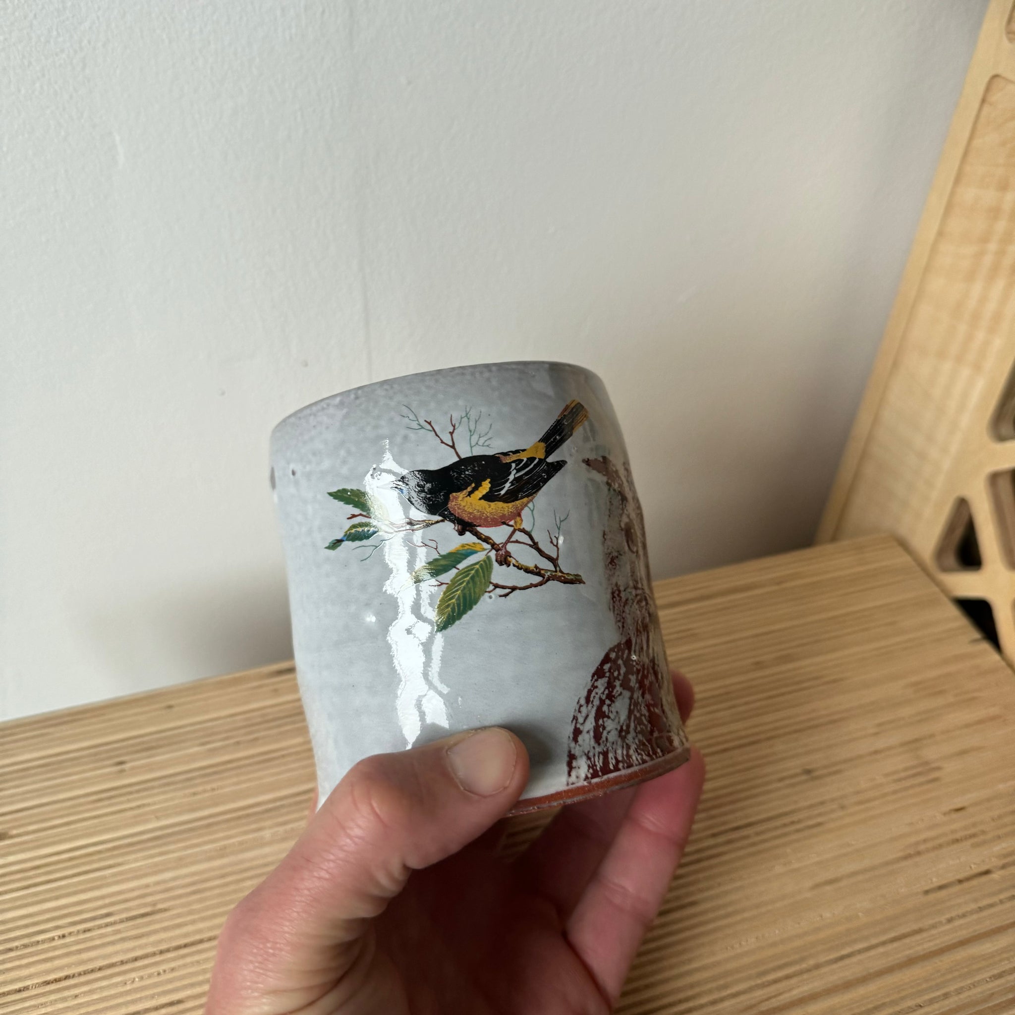 Decaled Owl Mug 6 by Justin Rothshank