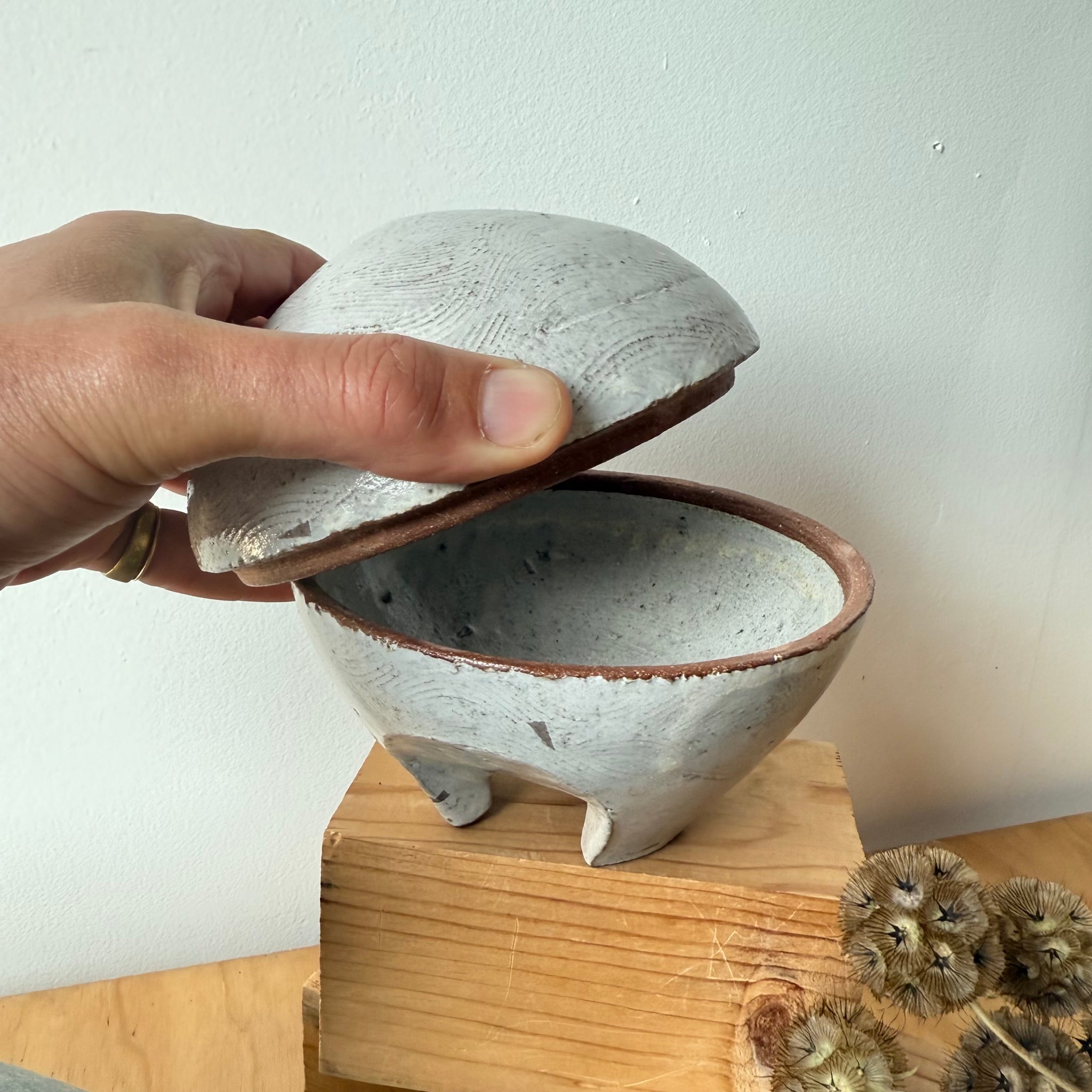 Dome Lidded Jar by Adam Greutzmacher