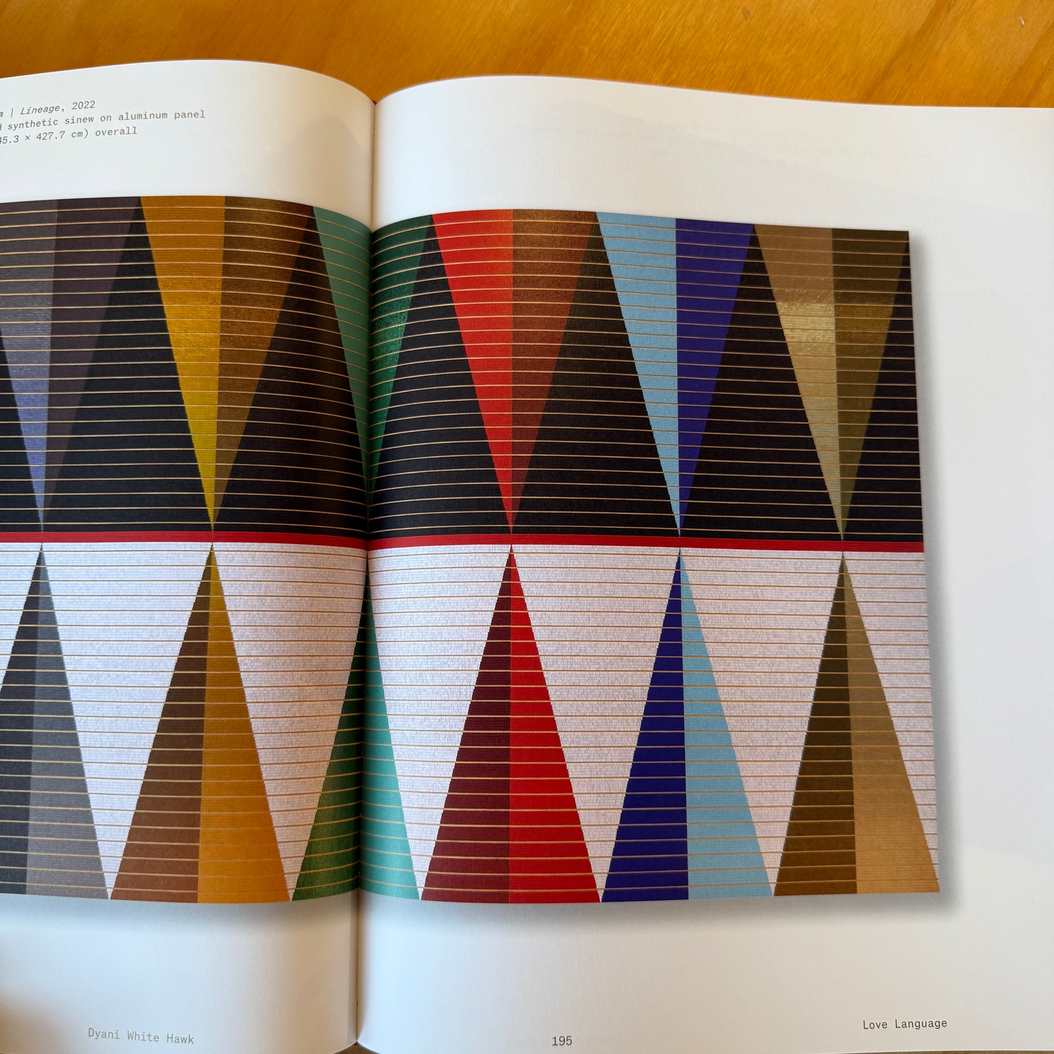 Dyani White Hawk - Love Language