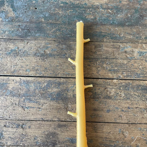 Hand Cast Branch Candle by Ilex Studio