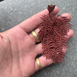 Knight's Plume Fern Embroidered Brooch by Botanopia
