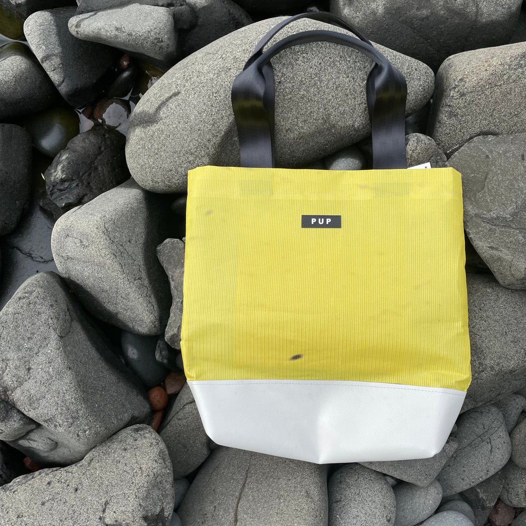 Lifeguard Dome Bag 3 by People for Urban Progress