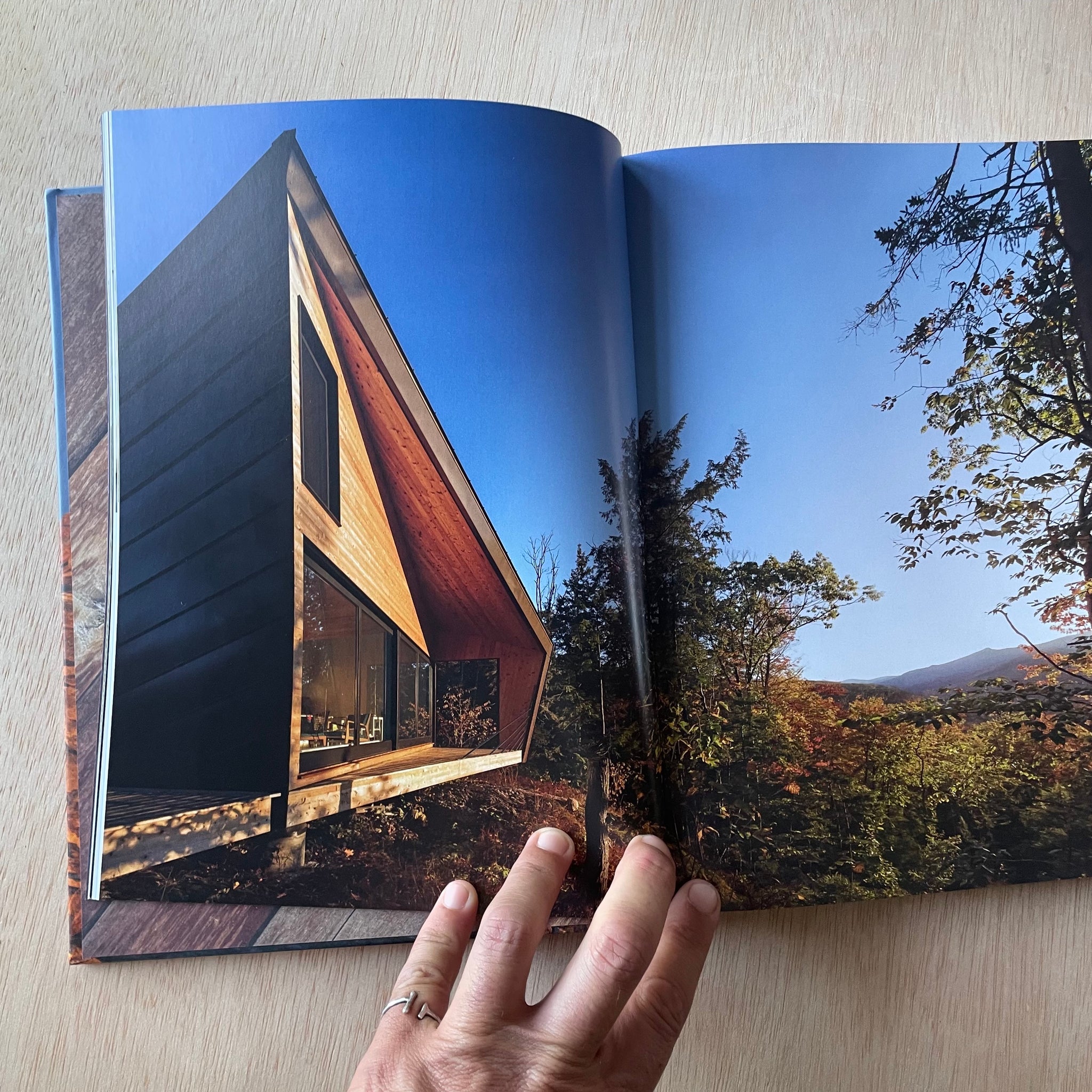 Modern Cabins, Return to the Wild