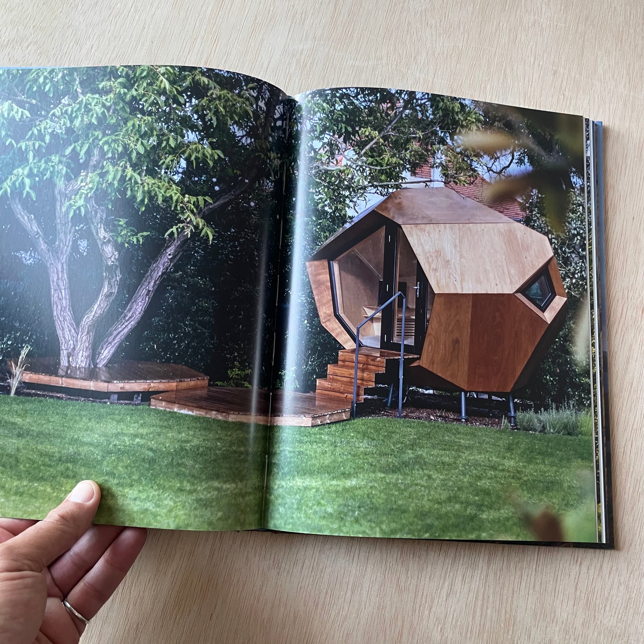Modern Homes, Return to the Wild
