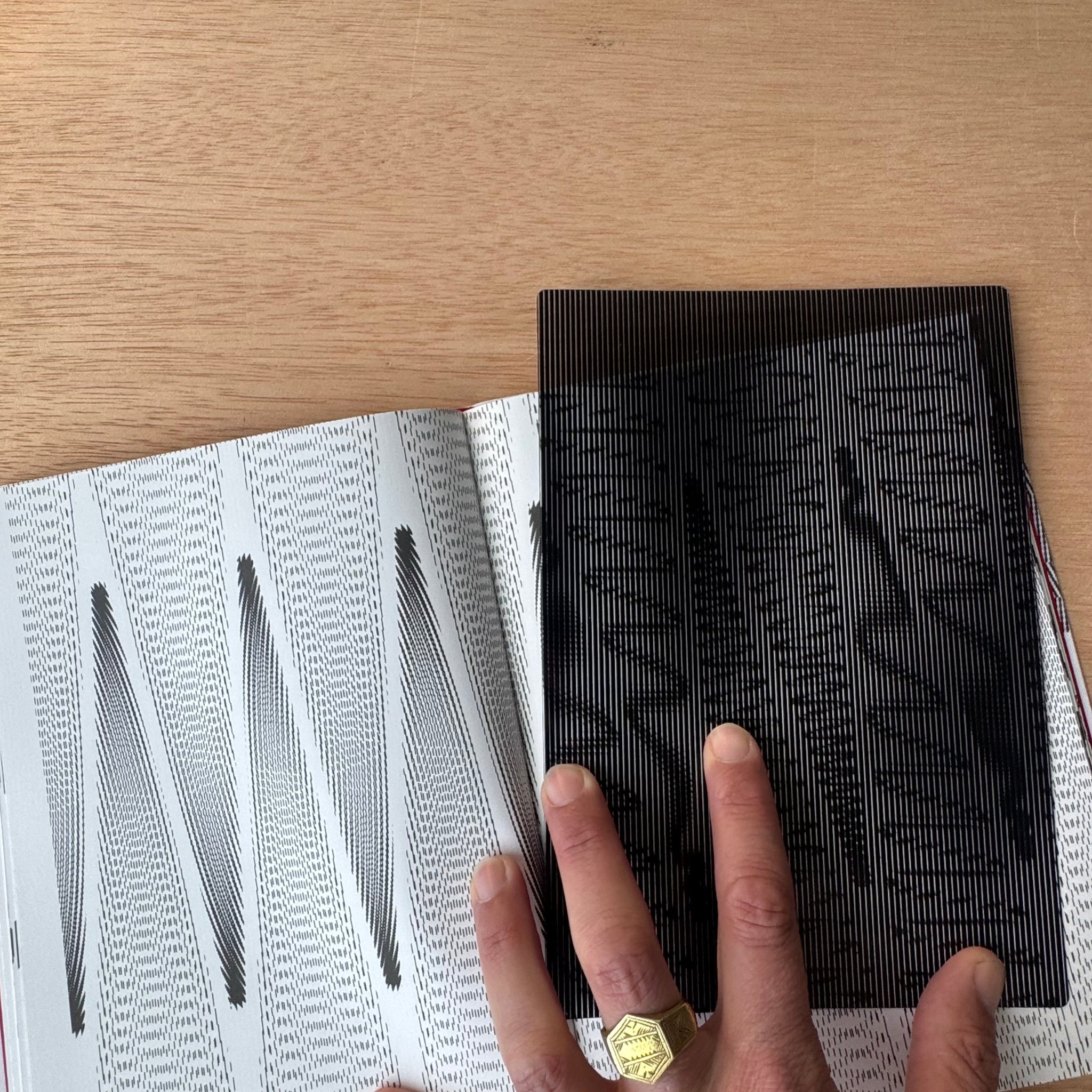 Moirémotion By Takahiro Kurashima.