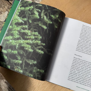 Moss From Forest to Garden the Hidden World of Moss