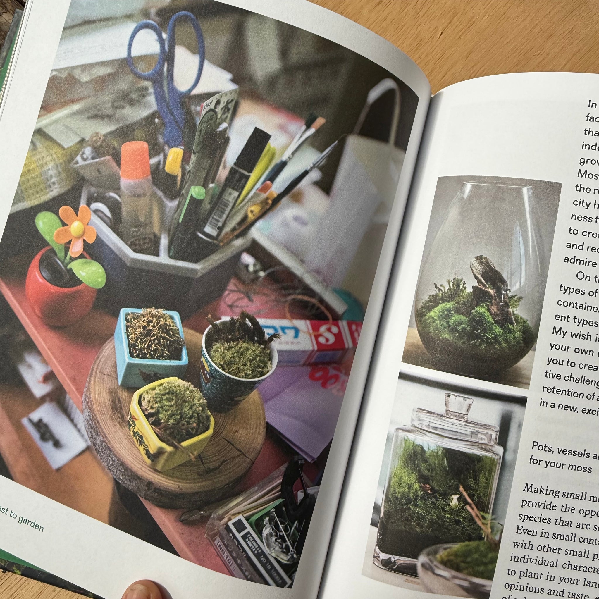 Moss From Forest to Garden the Hidden World of Moss