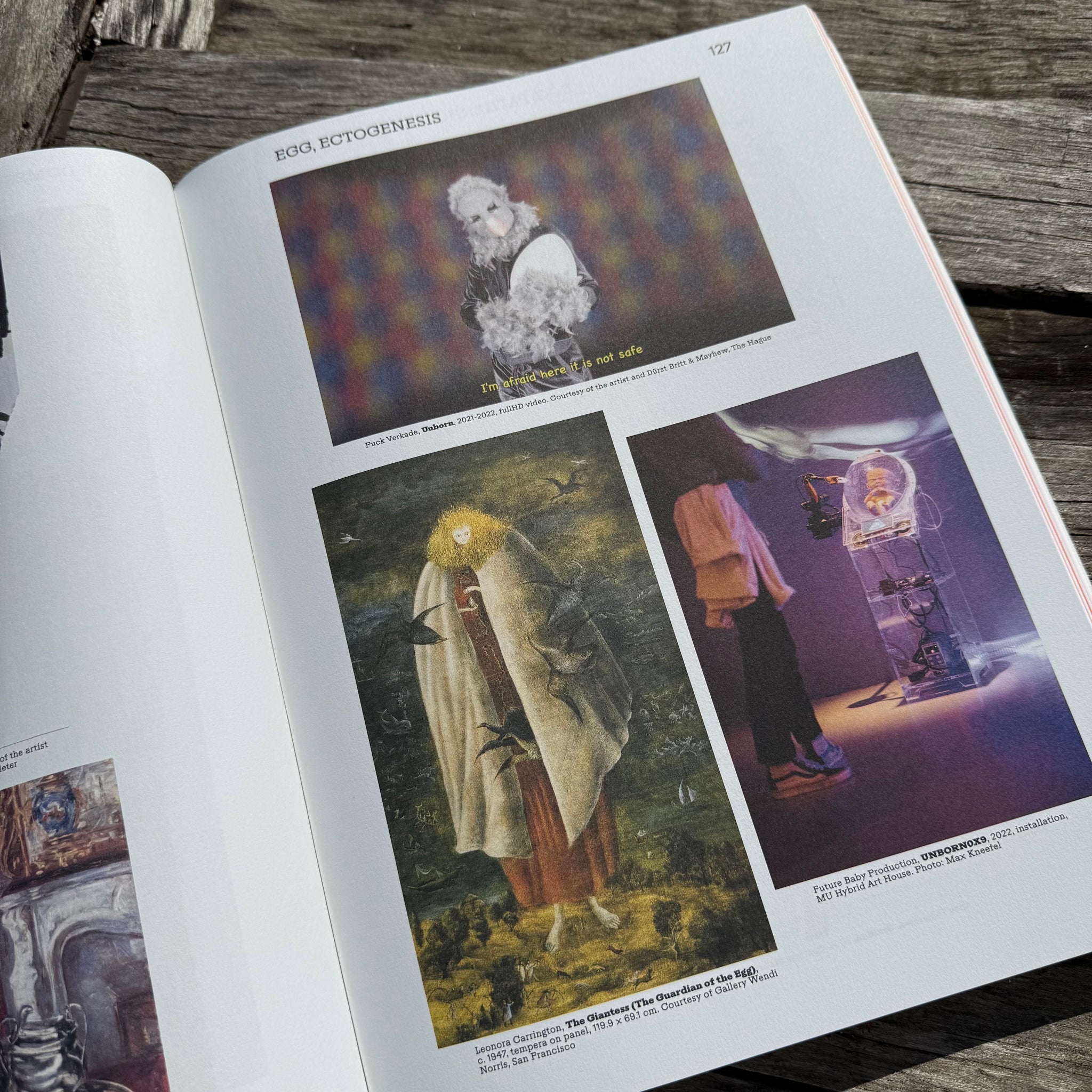 Mothering Myths - An ABC of Art, Birth and Care