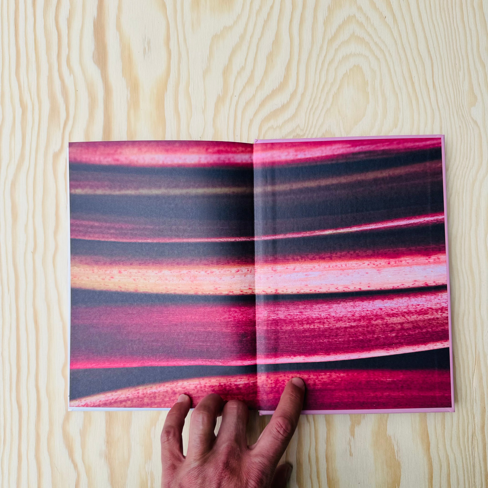 Rhubarb