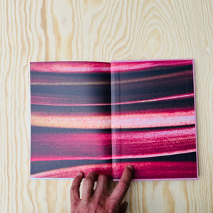 Rhubarb