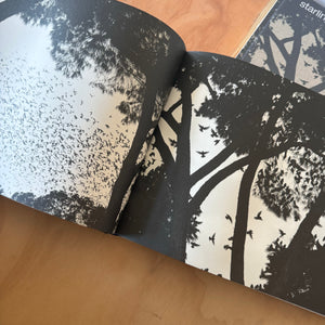 Søren Solkær: Starling
