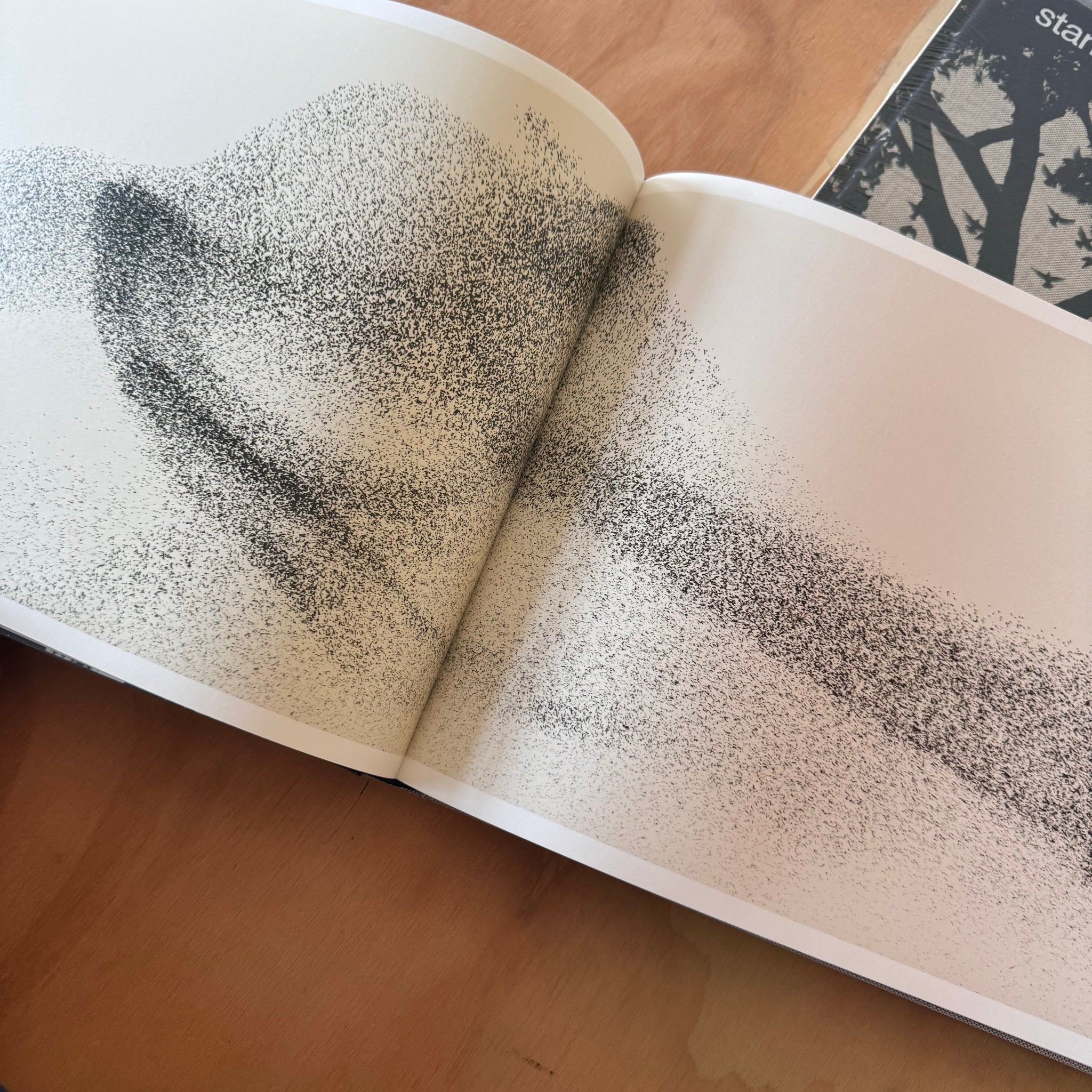 Søren Solkær: Starling