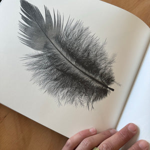 Søren Solkær: Starling