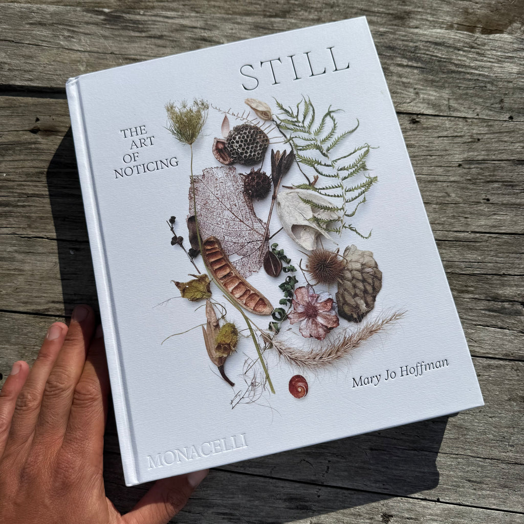 Still, The Art of Noticing by Mary Jo Hoffman