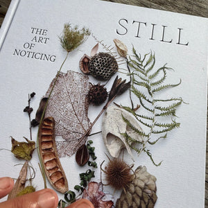 Still, The Art of Noticing by Mary Jo Hoffman