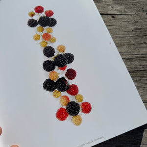 Still, The Art of Noticing by Mary Jo Hoffman
