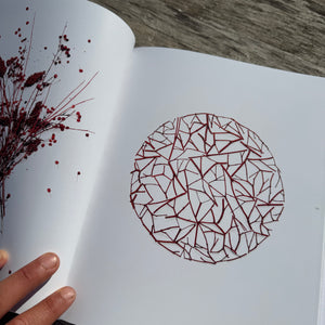 Still, The Art of Noticing by Mary Jo Hoffman