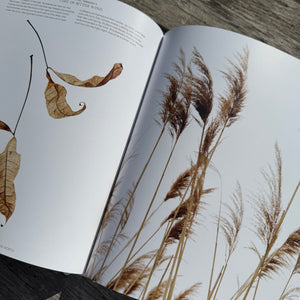 Still, The Art of Noticing by Mary Jo Hoffman