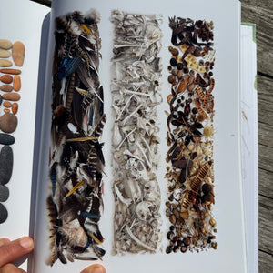 Still, The Art of Noticing by Mary Jo Hoffman