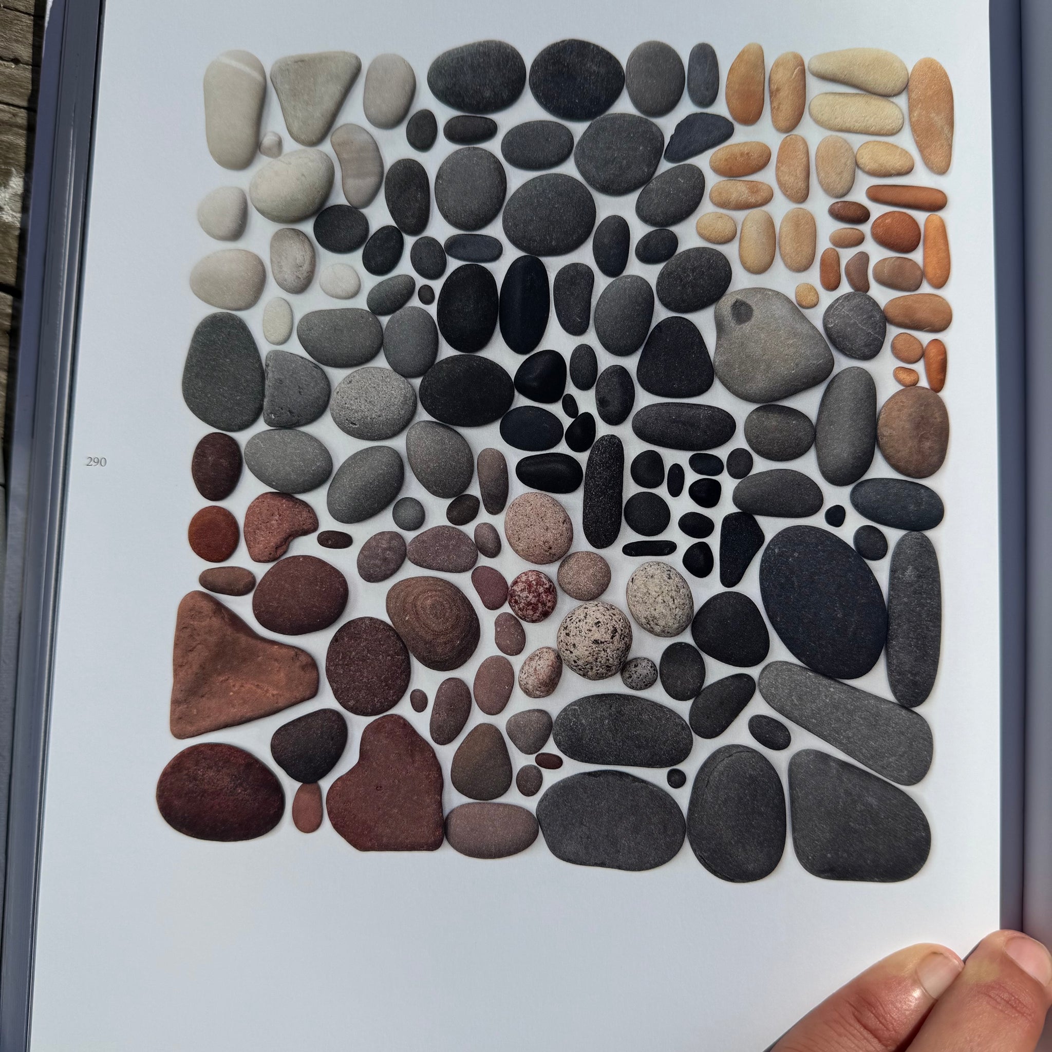 Still, The Art of Noticing by Mary Jo Hoffman