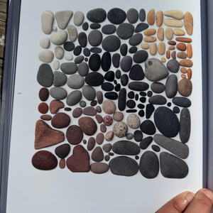 Still, The Art of Noticing by Mary Jo Hoffman