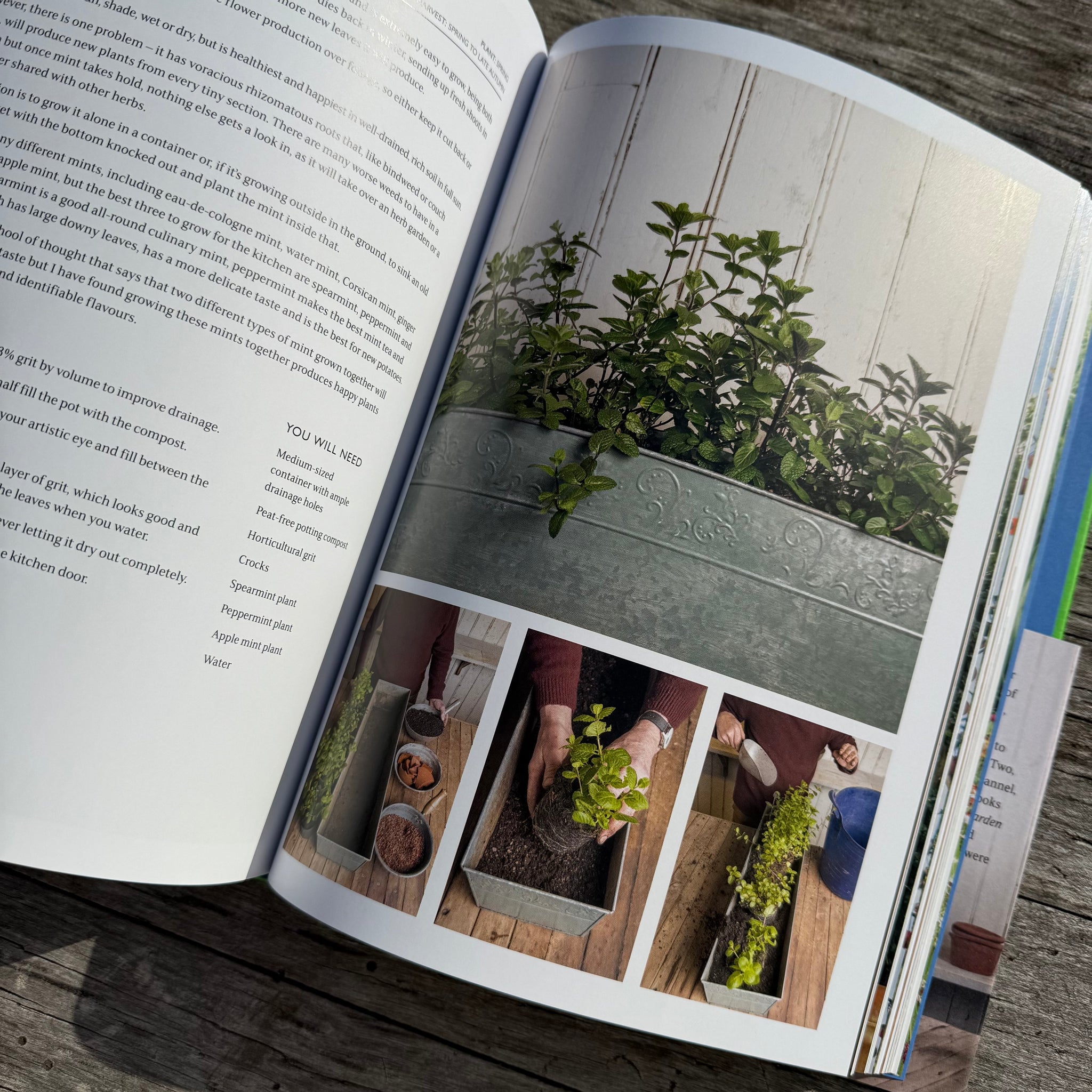 The Gardening Book by Monty Don