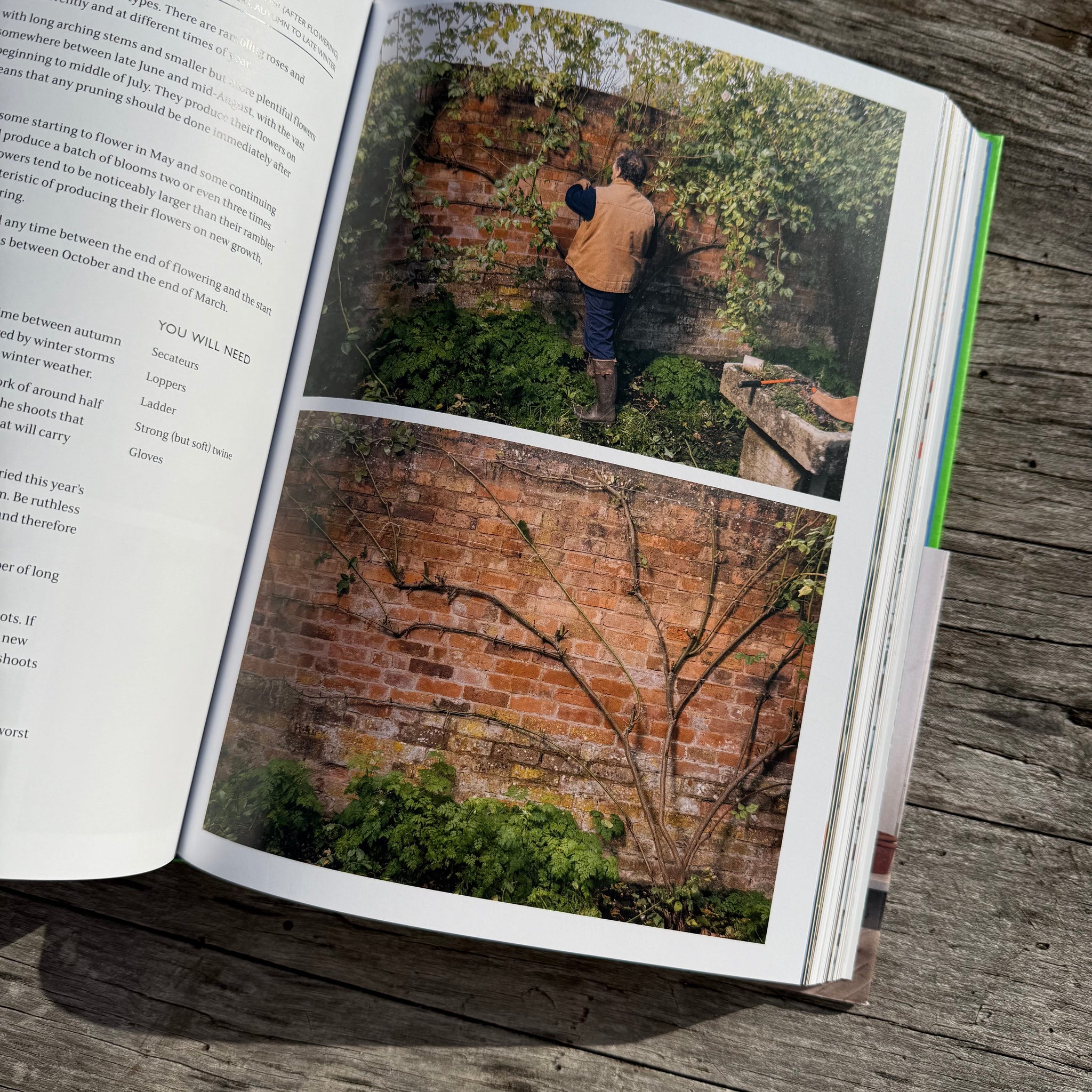 The Gardening Book by Monty Don