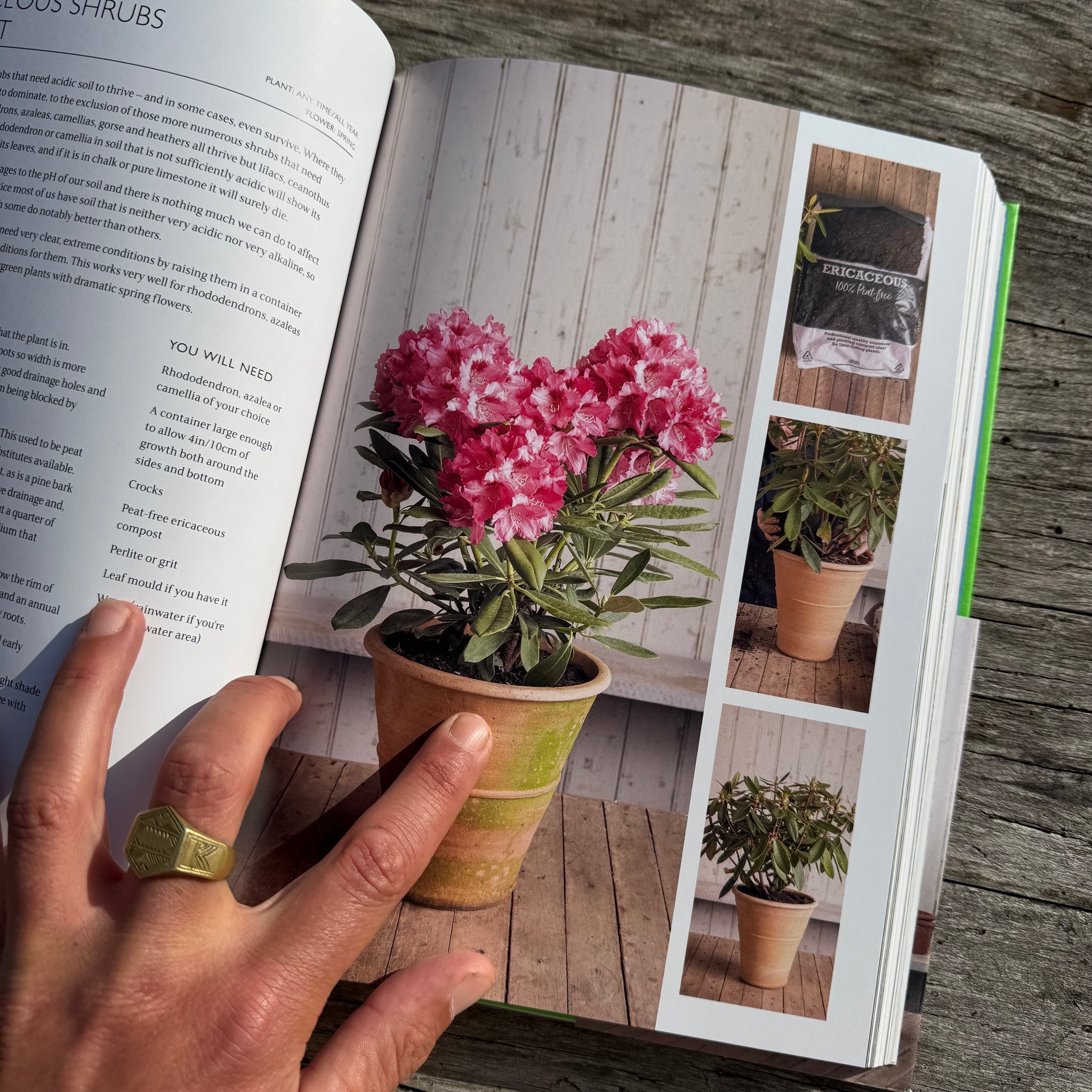 The Gardening Book by Monty Don