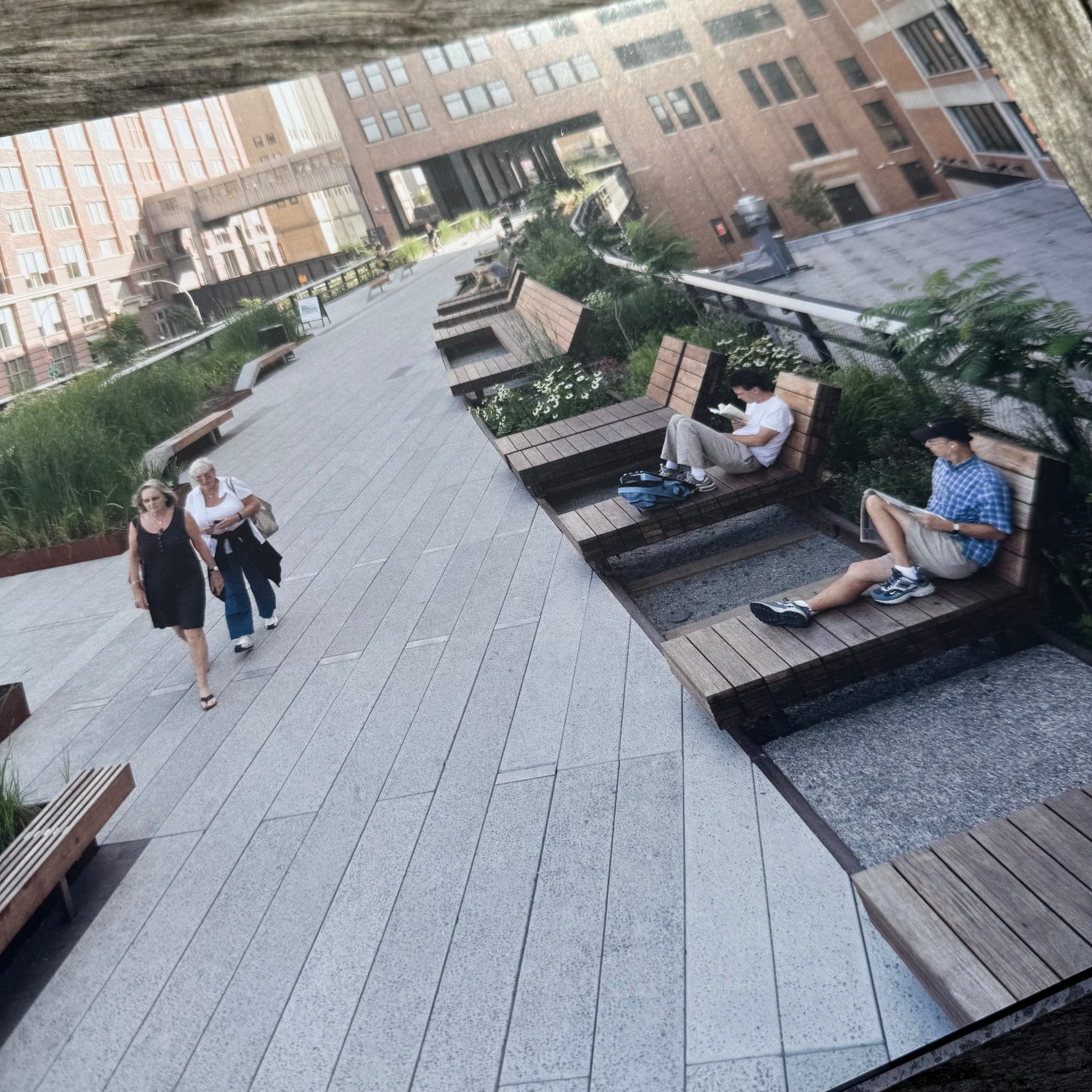 The High Line