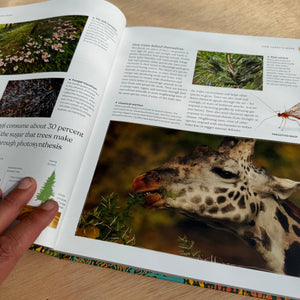 The Tree Book
