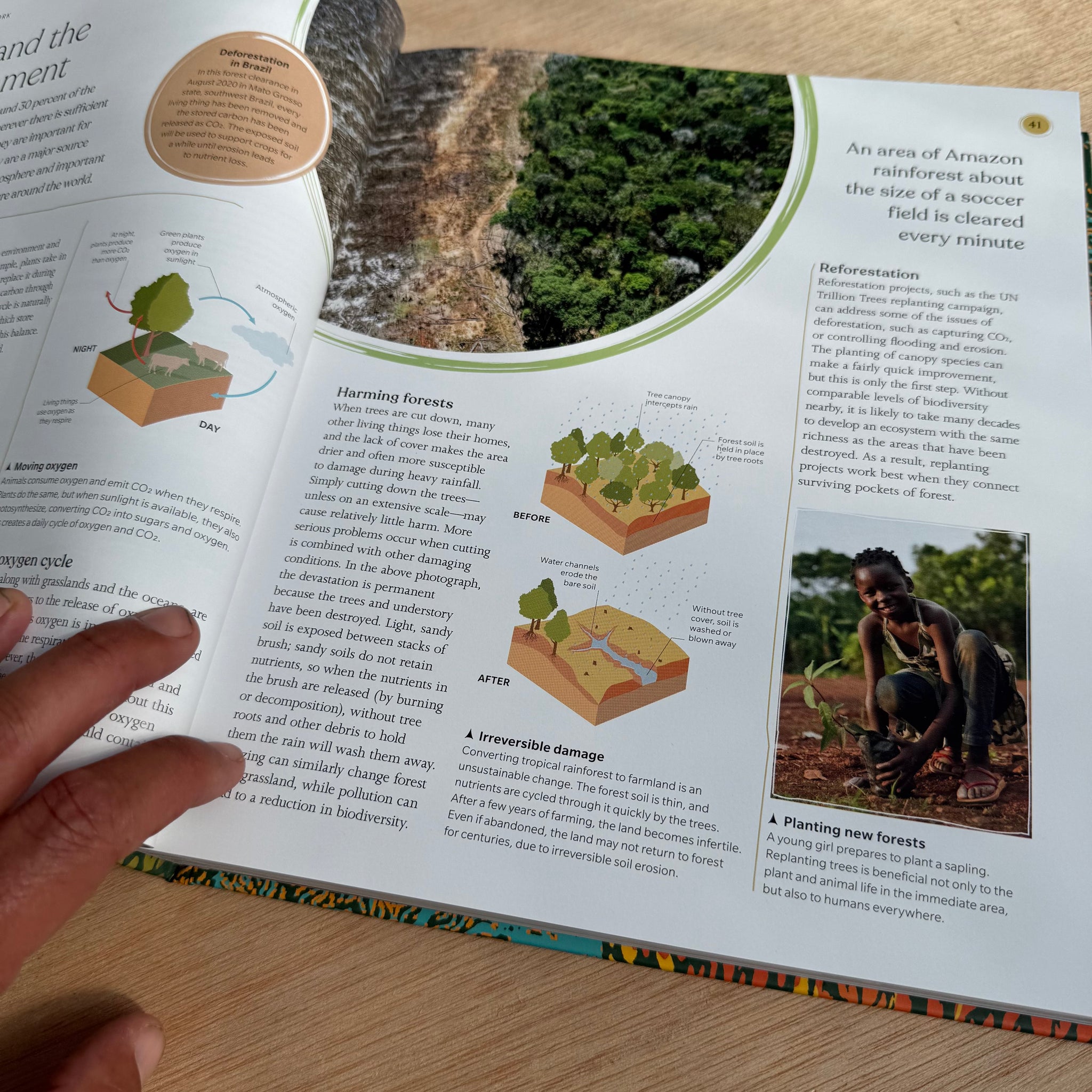 The Tree Book