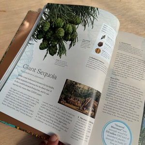 The Tree Book