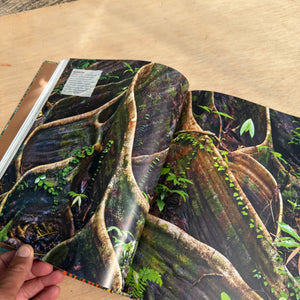 The Tree Book