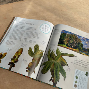 The Tree Book