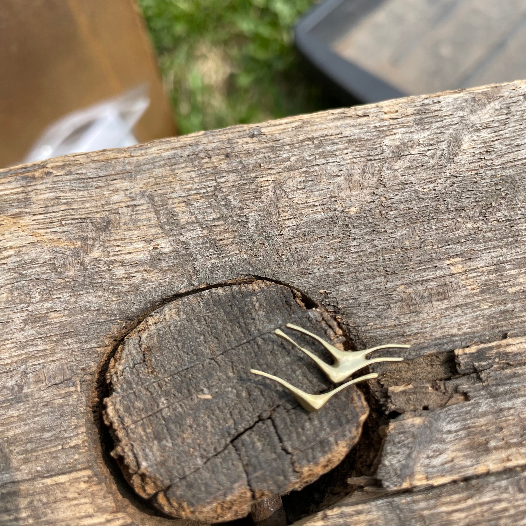 Tiny 3 Seagull Post Earrings by Blacking Metals