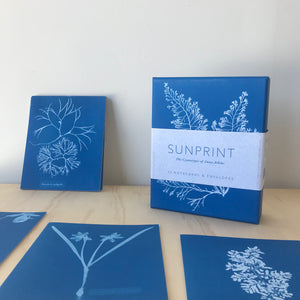Anna Atkins Sunprint Notecards - Upstate MN 