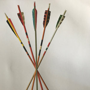 Vintage Arrow Study Number 5 by Barloga Studios - Upstate MN 
