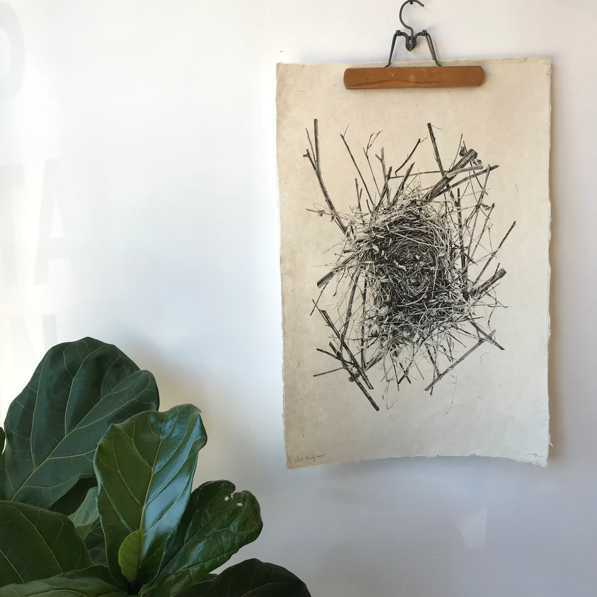 Barloga Nest Study Number 14 by Barloga Studios – Upstate MN