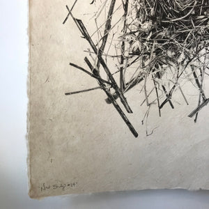 Nest Study Number 14 by Barloga Studios - Upstate MN 